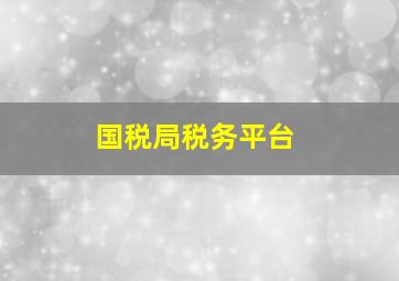 国税局税务平台