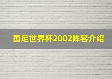 国足世界杯2002阵容介绍