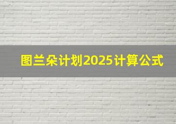 图兰朵计划2025计算公式