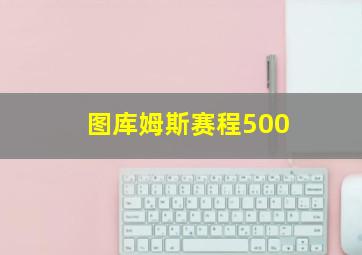 图库姆斯赛程500