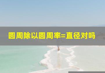 圆周除以圆周率=直径对吗