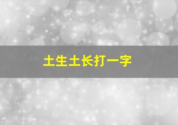 土生土长打一字