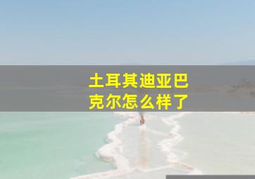 土耳其迪亚巴克尔怎么样了