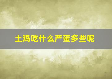 土鸡吃什么产蛋多些呢