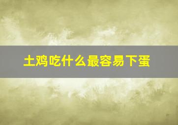 土鸡吃什么最容易下蛋