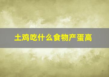 土鸡吃什么食物产蛋高