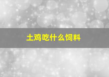 土鸡吃什么饲料