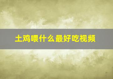 土鸡喂什么最好吃视频