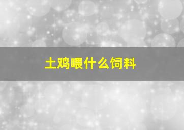 土鸡喂什么饲料