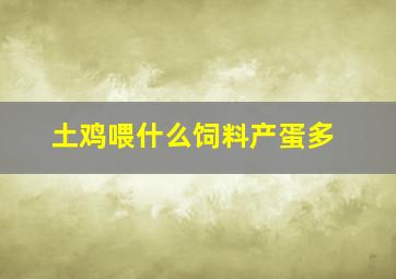 土鸡喂什么饲料产蛋多