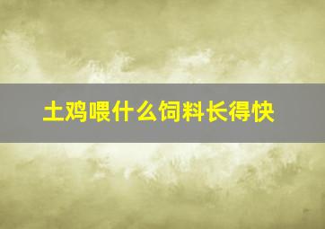 土鸡喂什么饲料长得快