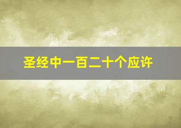 圣经中一百二十个应许