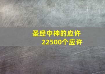 圣经中神的应许22500个应许