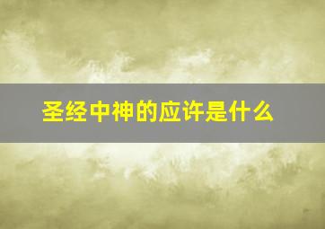 圣经中神的应许是什么