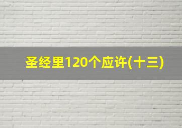 圣经里120个应许(十三)