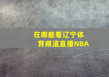 在哪能看辽宁体育频道直播NBA