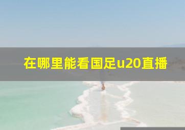 在哪里能看国足u20直播