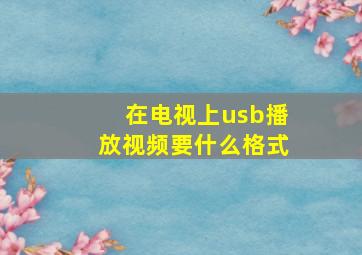 在电视上usb播放视频要什么格式