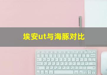 埃安ut与海豚对比