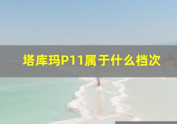 塔库玛P11属于什么档次