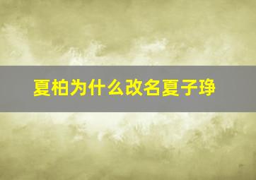 夏柏为什么改名夏子琤