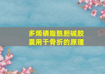 多烯磷脂酰胆碱胶囊用于骨折的原理