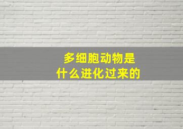 多细胞动物是什么进化过来的