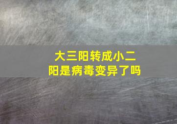 大三阳转成小二阳是病毒变异了吗