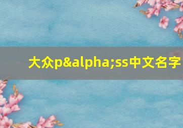 大众pαss中文名字