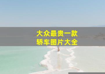 大众最贵一款轿车图片大全