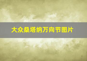 大众桑塔纳万向节图片