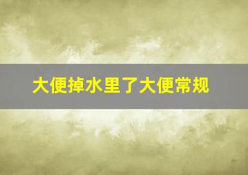 大便掉水里了大便常规