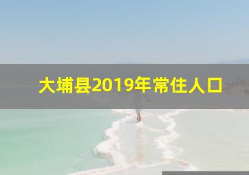 大埔县2019年常住人口