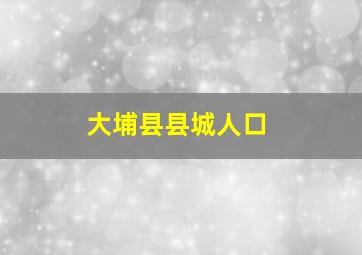 大埔县县城人口