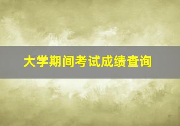 大学期间考试成绩查询