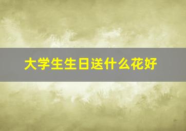 大学生生日送什么花好