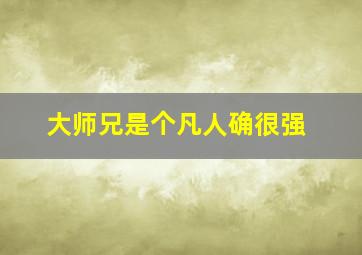 大师兄是个凡人确很强