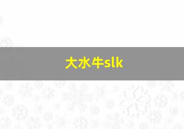 大水牛slk