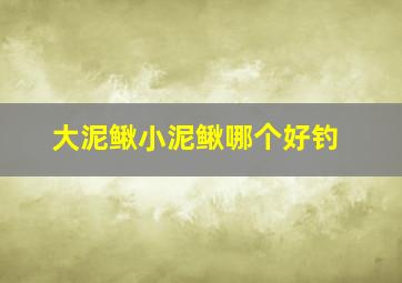 大泥鳅小泥鳅哪个好钓