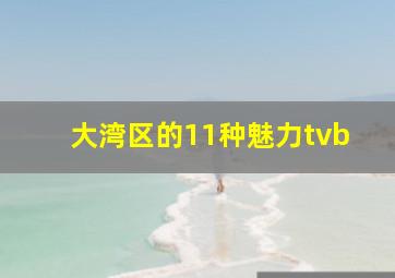 大湾区的11种魅力tvb