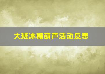 大班冰糖葫芦活动反思