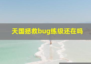 天国拯救bug练级还在吗