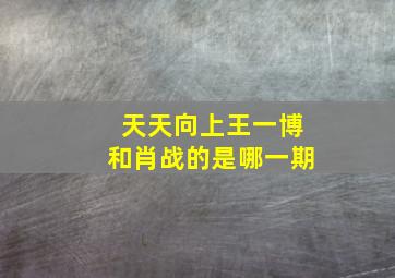 天天向上王一博和肖战的是哪一期