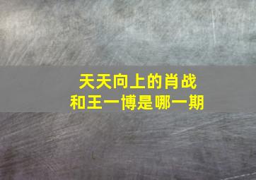 天天向上的肖战和王一博是哪一期