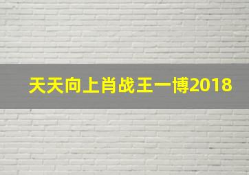 天天向上肖战王一博2018