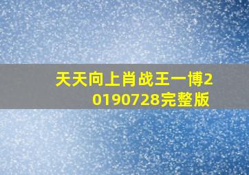 天天向上肖战王一博20190728完整版