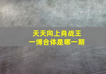 天天向上肖战王一博合体是哪一期