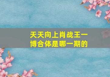 天天向上肖战王一博合体是哪一期的