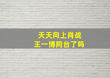 天天向上肖战王一博同台了吗