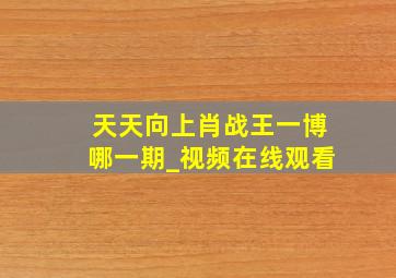 天天向上肖战王一博哪一期_视频在线观看